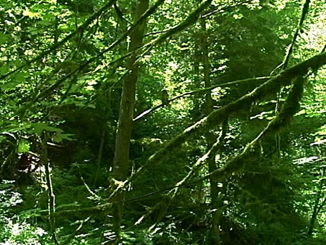 Joaquin Miller pics.172